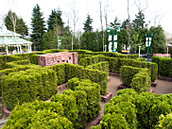 Thomas Maze